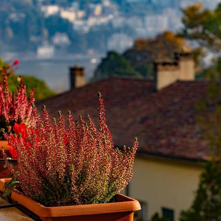 Villa Olmo Cozystay Como Bagian luar foto