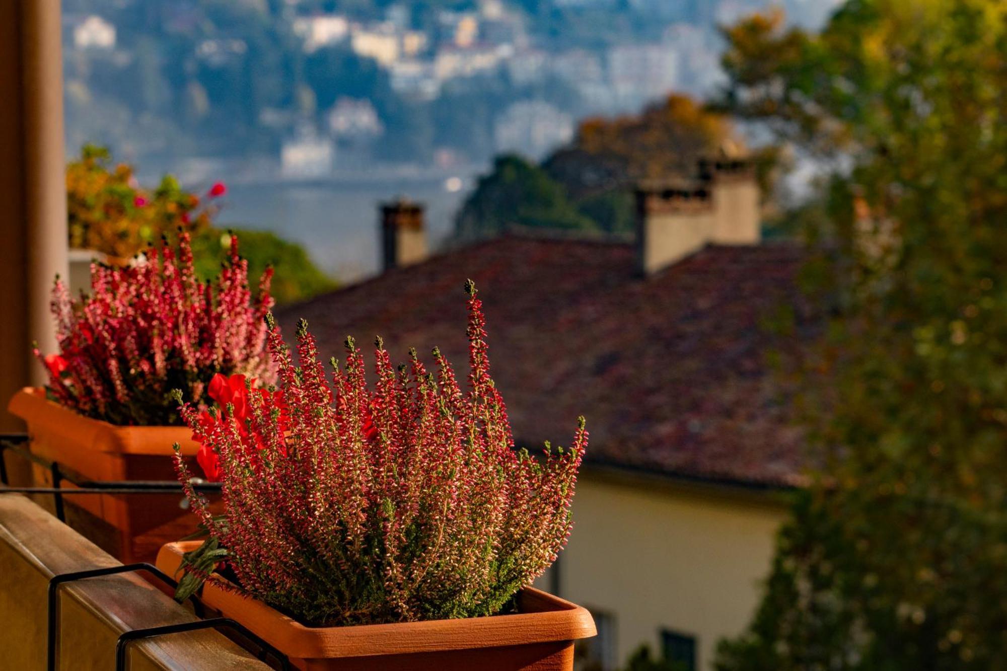 Villa Olmo Cozystay Como Bagian luar foto
